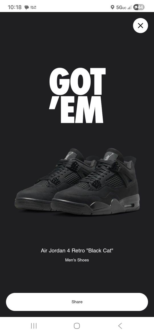2025 Jordan 4s Black Cat