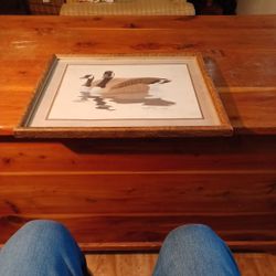 Richard Sloan 1980 Signed Pontail Duck Vtg. Framed Print