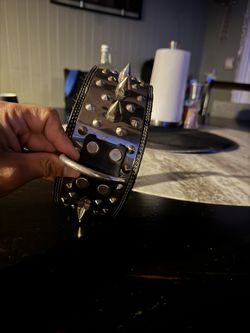 Spiked Dog Collar
