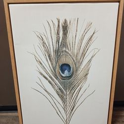 Canvas - 24"LX18"WX2"T Sylvie Peacock Feather Framed Decor by Simon Te Tai Natural - Kate & Laure