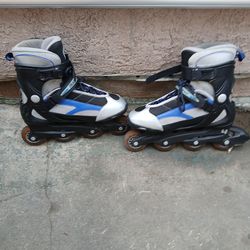 Skates  patines