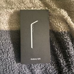Samsung Galaxy S25