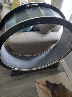 HomeGroove 46 Inch Brand New Cat Wheel