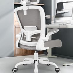 Ergonomic Office Chair!New In Box!