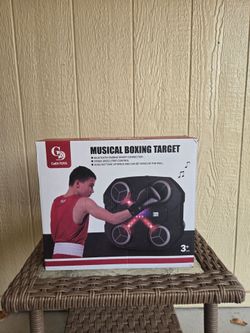 CaiDi TOYS Intelligent Musical Boxing Target