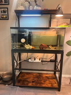 40 gallon tank and stand