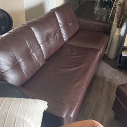 Brown Couch 