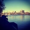 Portlandbids