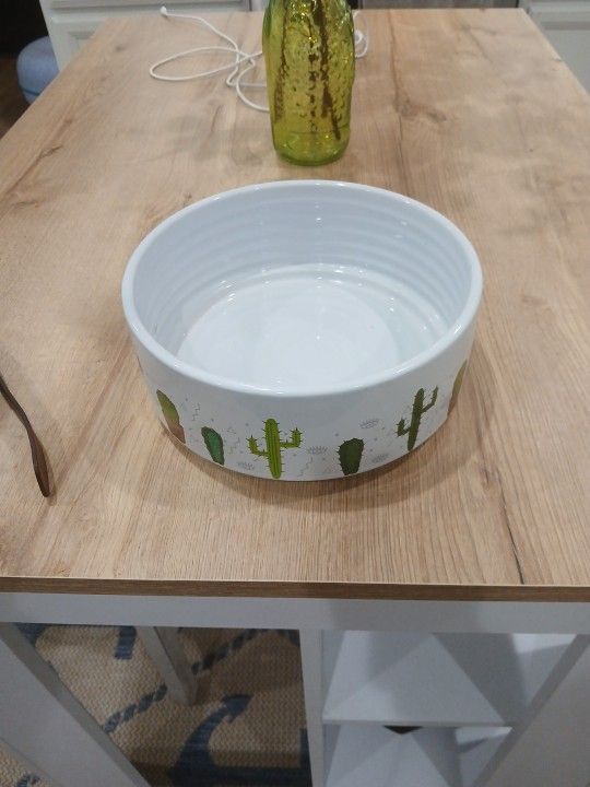 Dog Bowl