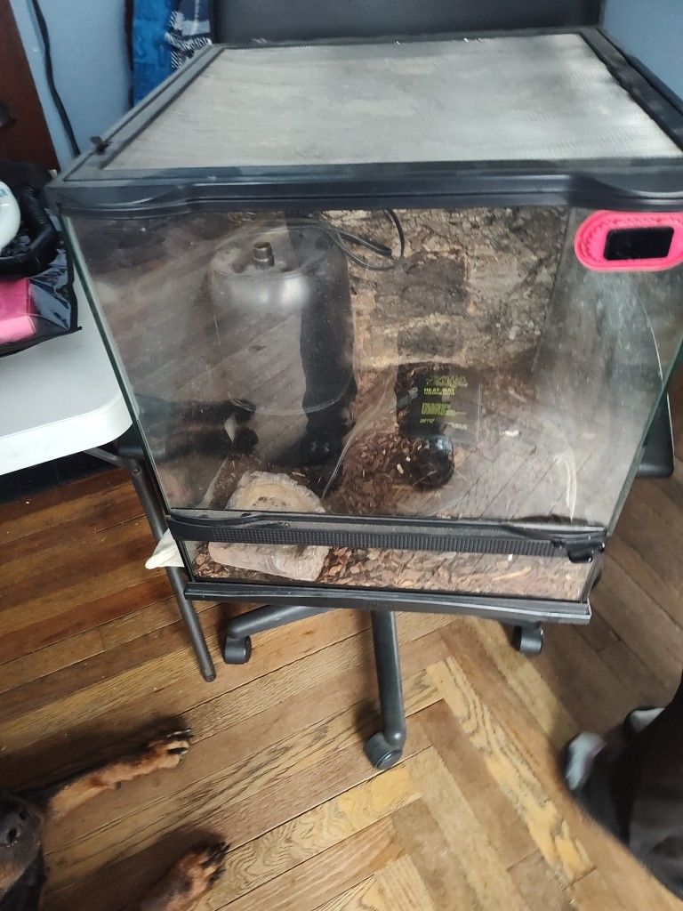 Exo Terrarium