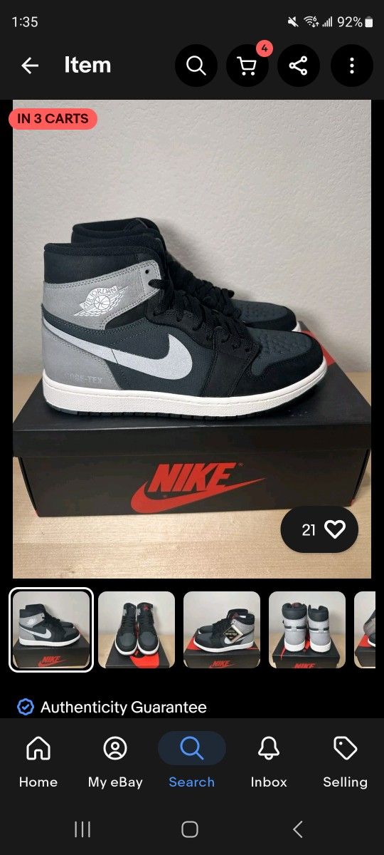 Jordan 1 Goretex