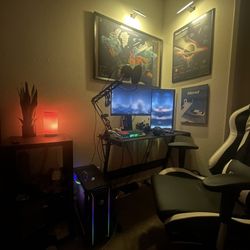 ENTIRE pc Setup and  STEAM account Included 
