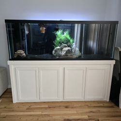 160 Gallon Tank For Sale With Stand And Sump And All Plumbing 