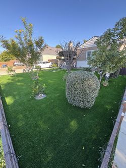 Artificial Grass Turf