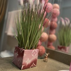 Louis V Pink Fern Grass Plant