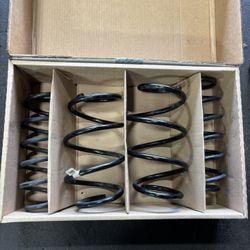 22 Honda Civic Oem Original Coil Suspension Springs
