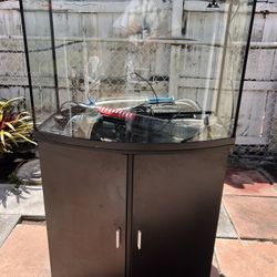 Aquarium, Aquarium 35 Gal,