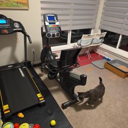 Schwinn 270 Recumbent Exercise Bike