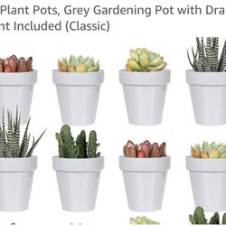 8pcs 5.5” Plastic Planters, Grey, New