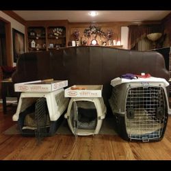 Dog Crate 