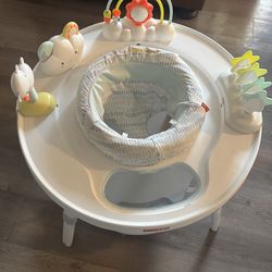 Skip hop activity center