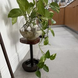 Unique Plant Stand