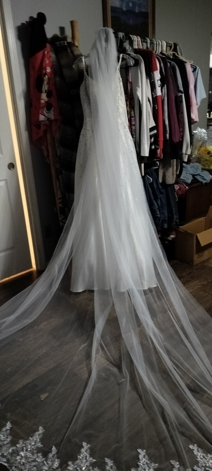 Wedding Dress Or Could Be Worn As A Prom Dress Also Have Petty Coat And Vail 