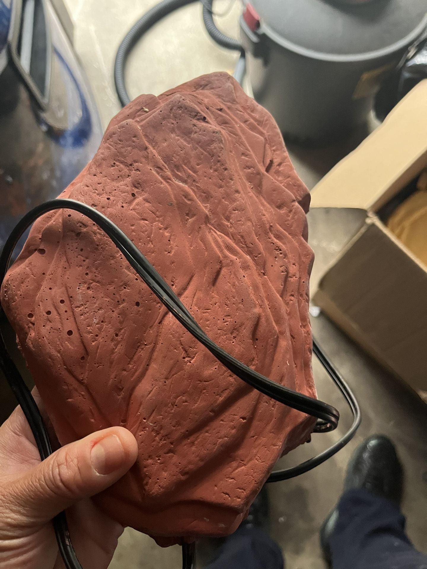 Reptile Equipment