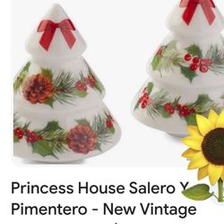 Saleros Princess House