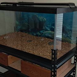 40gal Breeder Fish Tank Starter Kit w/ Stand