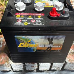 1 Crown Batteries CR-205s 6 V Batteries