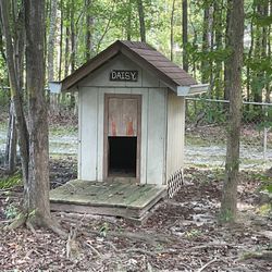 Dog House 