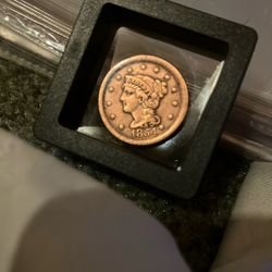 1884 Large Cent