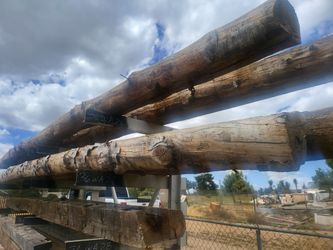 20 Ft Barn Beams/logs 