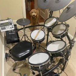 Roland-VDrums TD-20 w/expansion module
