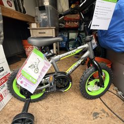 Toddler Boy Bike 
