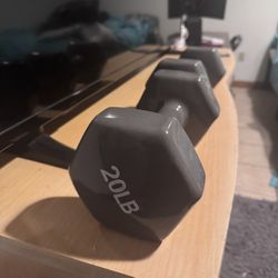 20 Lb Weights - Gently used