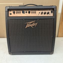 Peavey Guitar Amp Ecoustic 110EFX