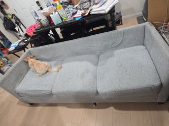 Free couch set