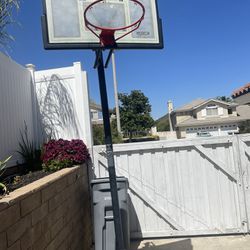  Portable Basketball Hoop