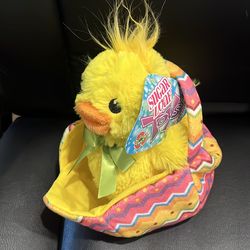 Chicken in basket