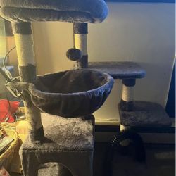 Kitten Or Small Cat Tree
