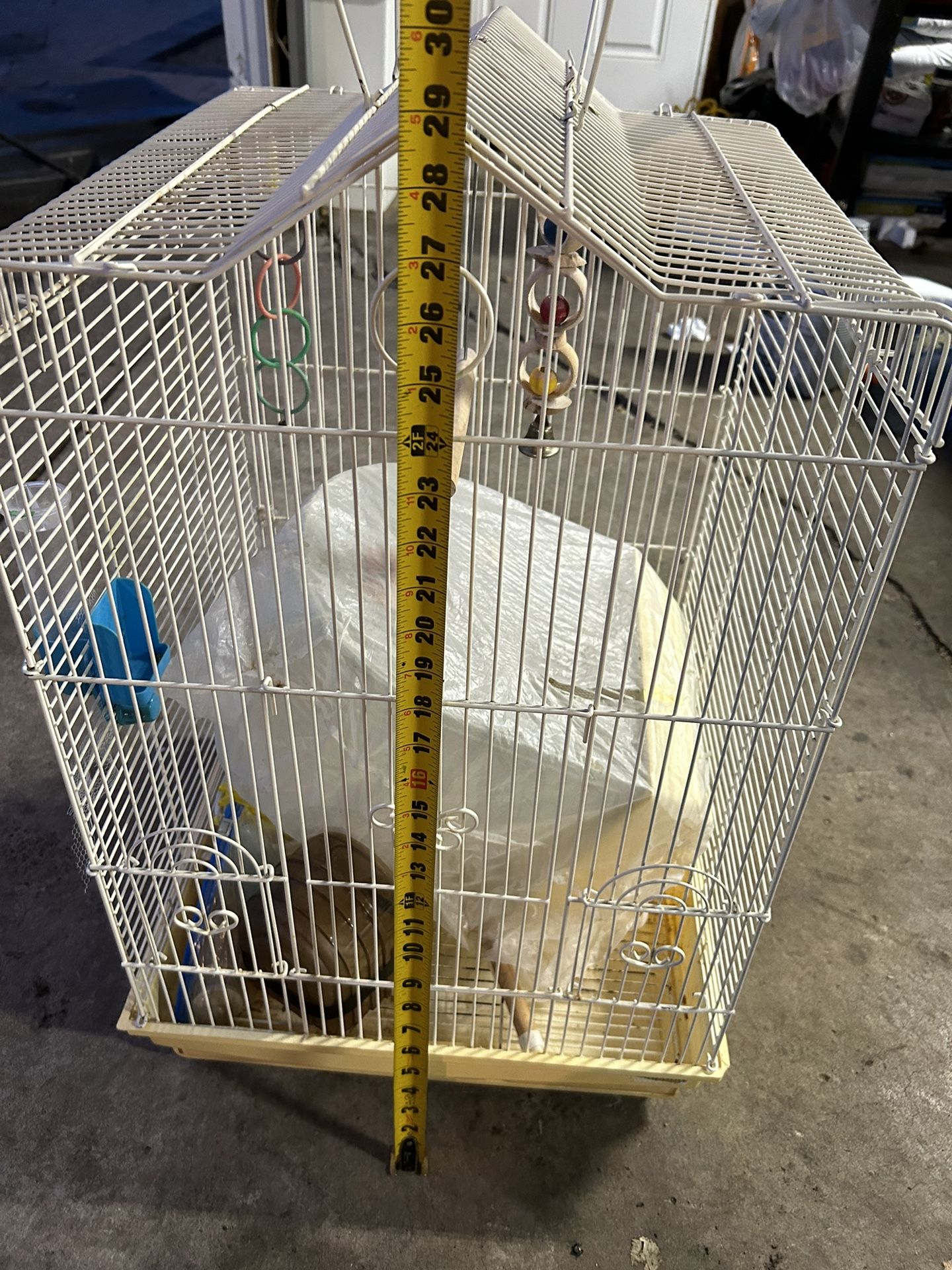 Bird Cage
