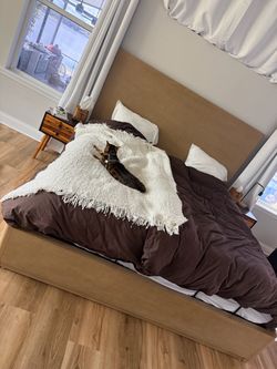 CB2 king bed frame