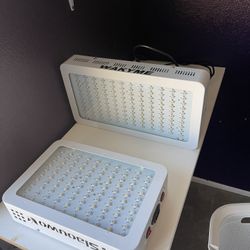 Grow Lights