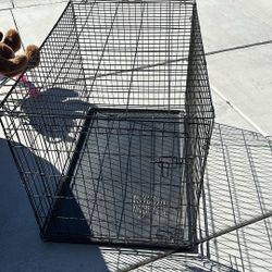 Large Dog Crate 