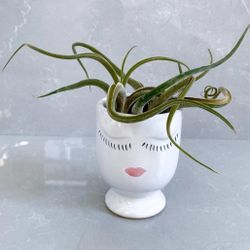 Celfie Vase Ceramic Vase