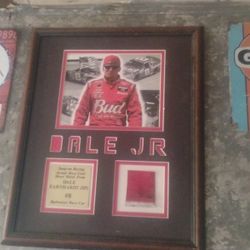Authent Take A Photo Sheet Metal Dale Jr Plaque