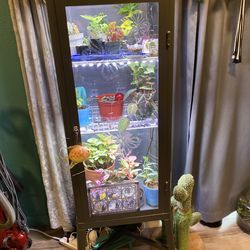 PLANT CASE