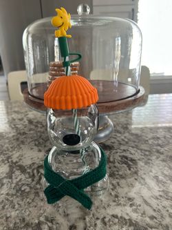Snoopy Glass Cup
